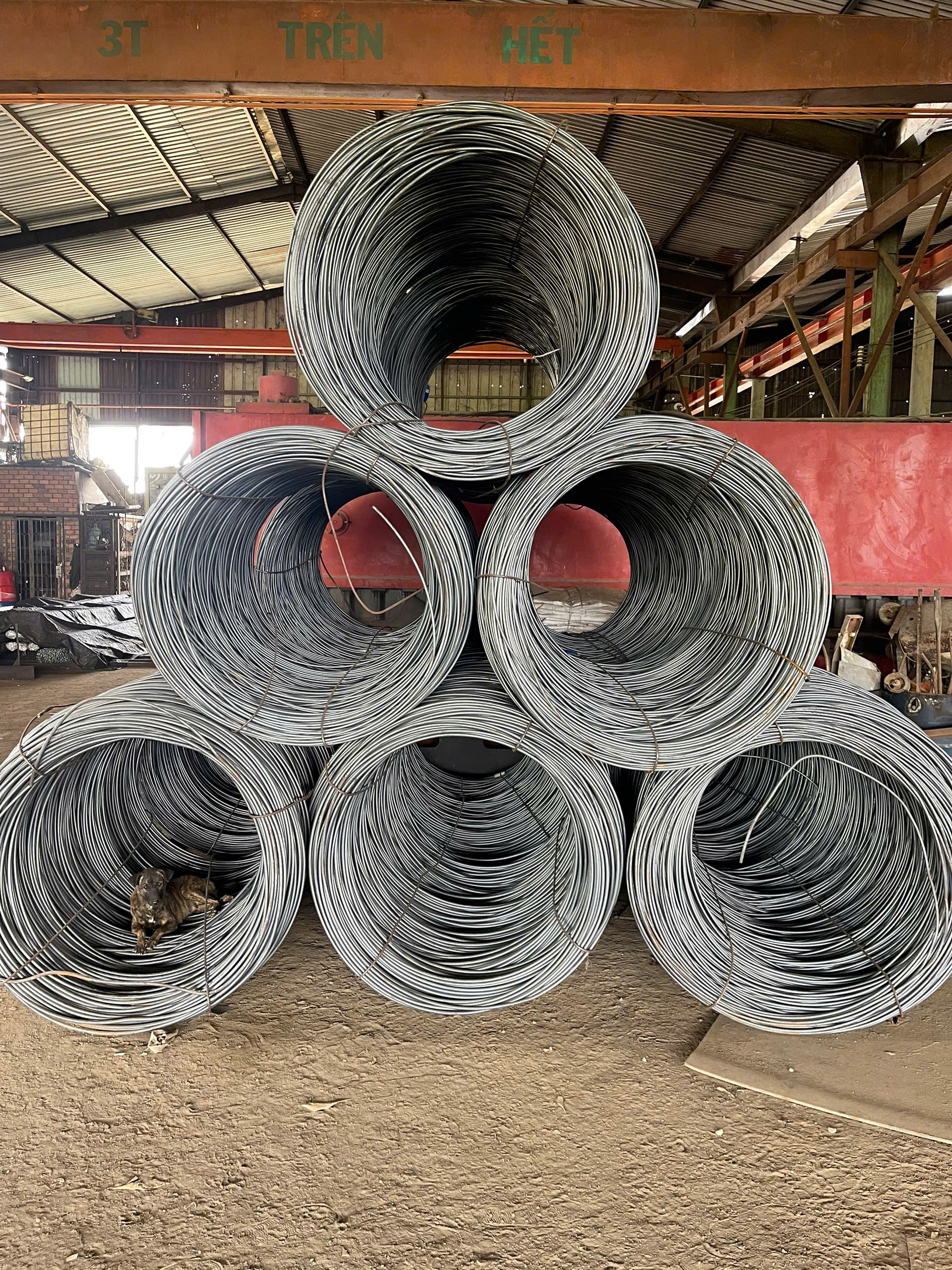 Thép Láp Đặc – Quy Cách, Ứng Dụng & Báo Giá Mới Nhất 2025