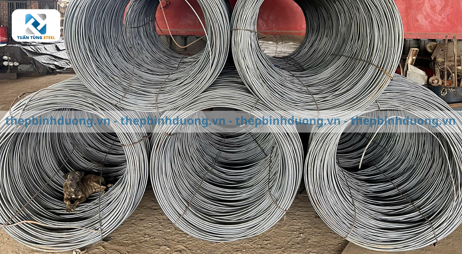 Thép láp đặt là gì?